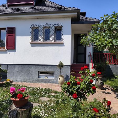 Colmar Room,Chambre Privee Chez L'Habitant,Parking Voiture Devant La Maison,Garage Moto Et Velo Zewnętrze zdjęcie